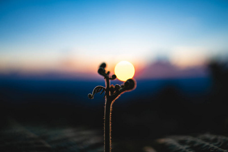 夕阳山景，美丽的天色自然叶