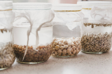 不同种子的玻璃瓶装满了水.银行里到处都是白高兹照片