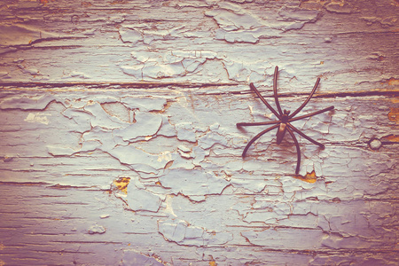 万圣节。黑蜘蛛是万圣节的象征，是古色古香的蓝色油漆的木制背景，是一个复制空间，是一个中心的光效