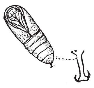 法网图片-法网素材-法网插画-摄图新视界