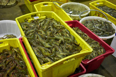 鱼类进口市场图片