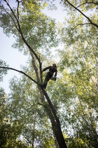 人类用绳子爬上一棵树。这个男人穿着安全装备的衣服