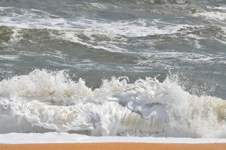 在美国佛罗里达州海滩上破浪前进