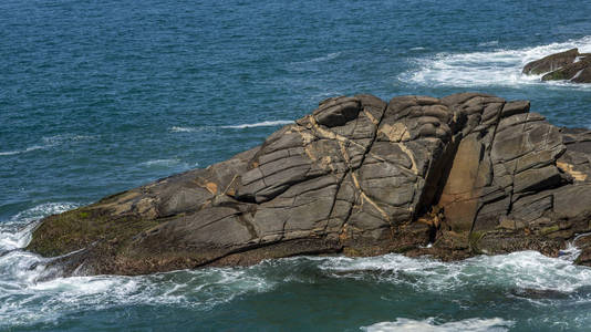 有趣的岩石看起来像动物的脸。 看起来像鳄鱼或鳄鱼的石头。 这块石头看起来像鳄鱼或鳄鱼。 巴西里约热内卢南美洲