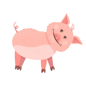 有趣的猪符号2019年新年。 猪站着微笑。 你的设计矢量图