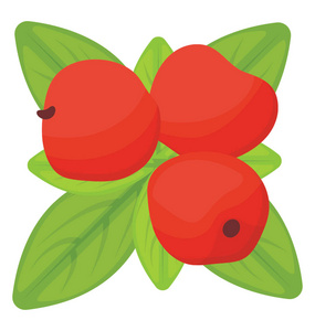 红色鲜色的林果莓