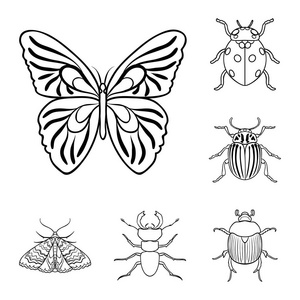 不同种类的昆虫轮廓图标在集合中进行设计。 昆虫节肢动物矢量符号股票插图。