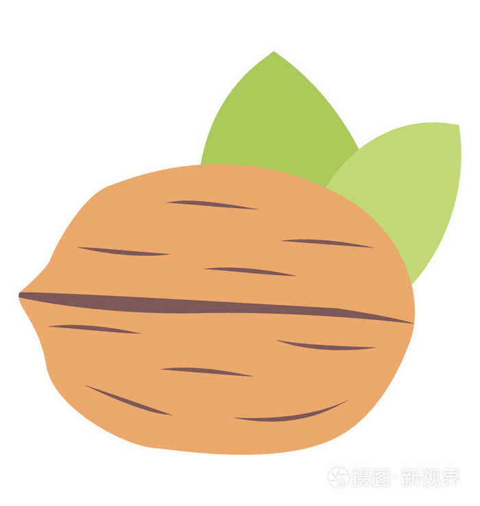 一个甜的干果图标核桃