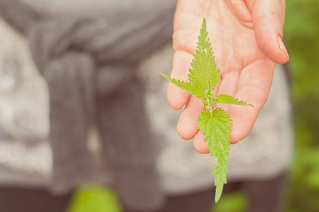 一个女人手上拿着一只荨麻芬兰的生态健康和营养丰富的野生食物直接来自大自然