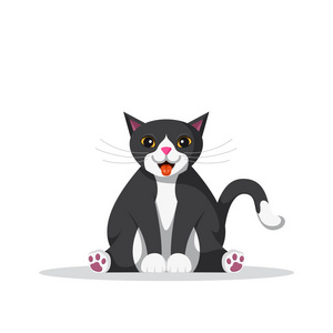 家猫的性质图片