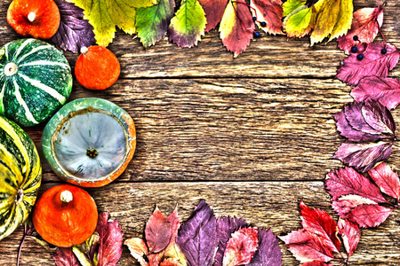 感恩节背景南瓜和落叶在木质背景上。秋叶框架与木质背景明亮对比