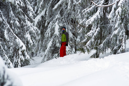 快乐的冒险家在覆盖着雪的巨大松树中冥想。 史诗般的冬天在山上旅行。