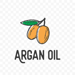 Argan 油果和叶向量草图图标