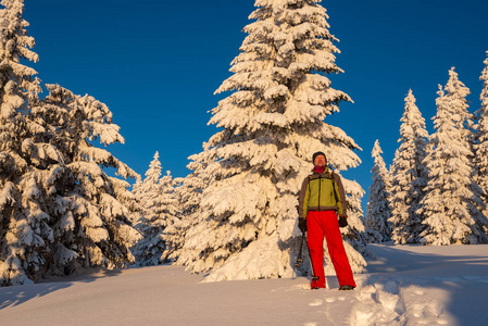 冒险家站在日出时被雪覆盖的巨大松树上，欣赏风景。 史诗般的冬天在山上旅行。