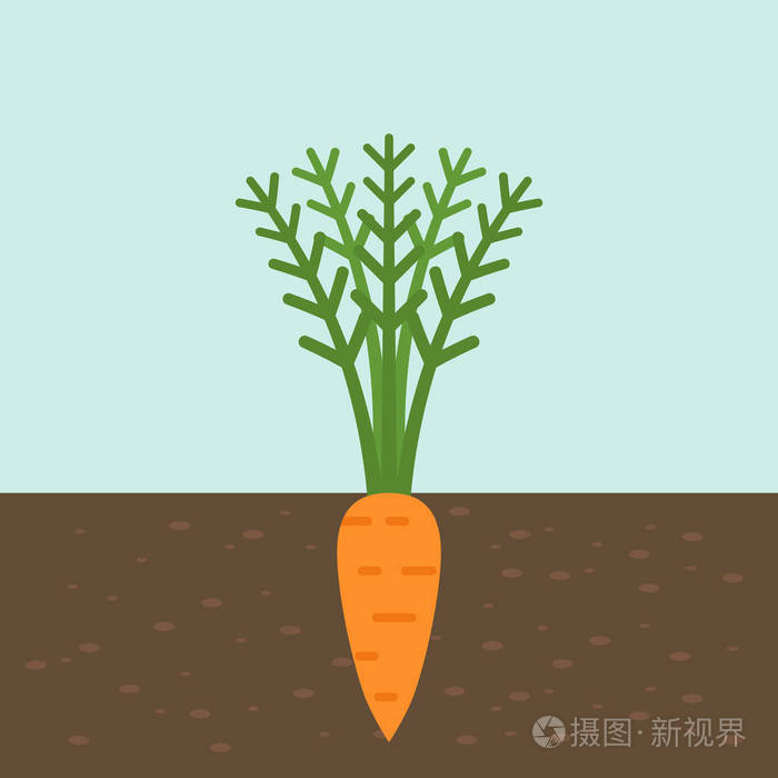 彩色土壤和蔬菜矢量插图