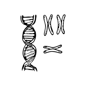 dna 矢量图标简单和现代平面符号为网站, 移动, 标志, 应用矢量dna