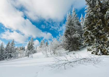 冬天平静的山景，美丽的霜树和小径穿过山坡上的雪堆乌克兰喀尔巴阡山。