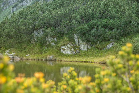 一个美丽的，干净的湖在山谷里平静，阳光明媚的一天。夏天有水的山景。斯洛伐克，欧洲的塔特里山。