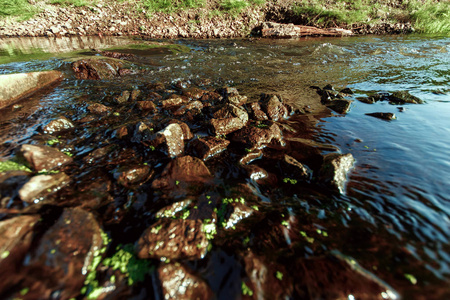阳光明媚的一天，山溪上有石头，靠近绿草。阳光下清澈的水流在湍急的小溪里.奇妙的自然纹理。