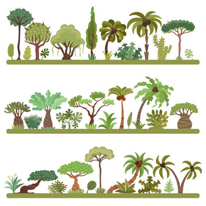 收藏热带树木棕榈树等热带外来植物矢量插画集。郁郁葱葱的森林。雨林丛林树木, 植物, 灌木, 树叶和灌木, 天堂海滩度假村歪