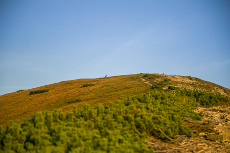 一条美丽的登山小径。 斯洛伐克的山地景观。 步行小径风景。