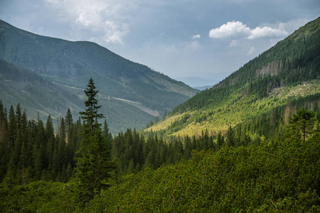 山上美丽的夏季景观。 山区国家公园的自然风光。 斯洛伐克欧洲的塔特拉山。