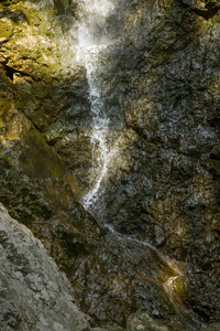 在低塔特拉地区的一个小山河流过山谷。 沿着山涧徒步旅行。 斯洛伐克欧洲的塔特拉山。