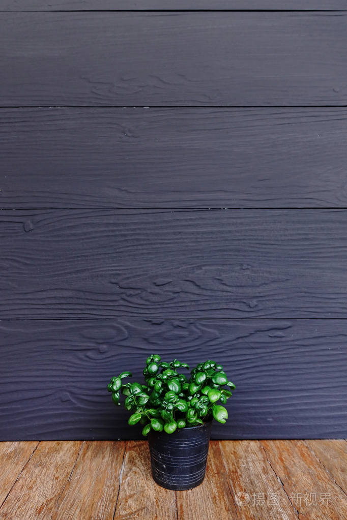 黑色背景下的自然细节