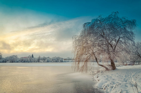冬天的风景，湖面和树木覆盖着霜冻