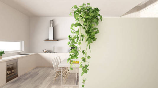 绿色室内设计理念背景，复制空间前景，白色墙面，盆栽，现代厨房