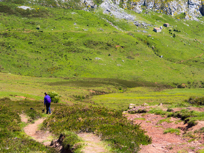  you see the mountainous area in spring