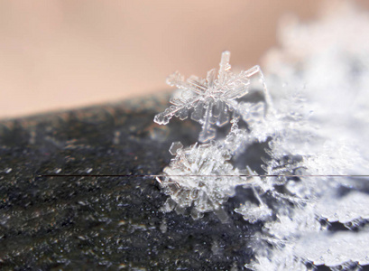 天空中的雪花