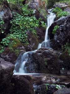 卡尔帕坦山上的瀑布，绿雨松林
