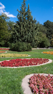保加利亚索非亚市南公园的树木和花园