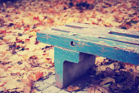 公园里明亮的秋叶和木凳