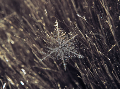 雪花在灰色的背景上美丽