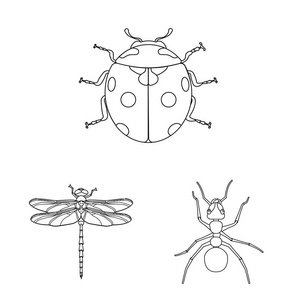 昆虫和飞行标志的矢量设计。昆虫和元素股票矢量图集