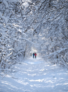 一对情侣在雪地森林里模糊的背景