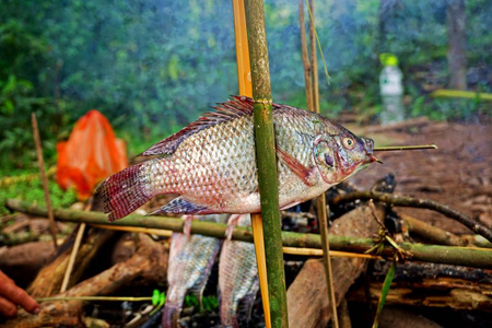 在老挝，淡水鱼是当地主食的一部分。 大多在市场上出售干鱼或仍然活着。 鱼烧烤在老挝各地都很常见。
