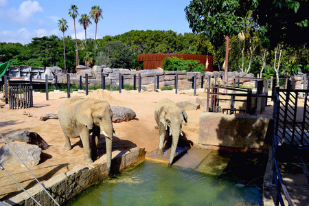巴塞罗那动物园是世界上最著名的动物园之一