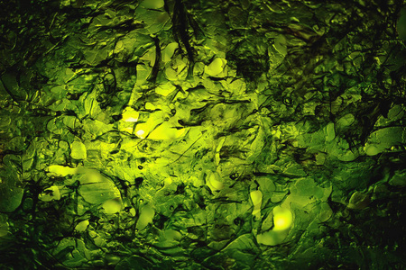 干燥的诺丽海藻层粘片照明纹理