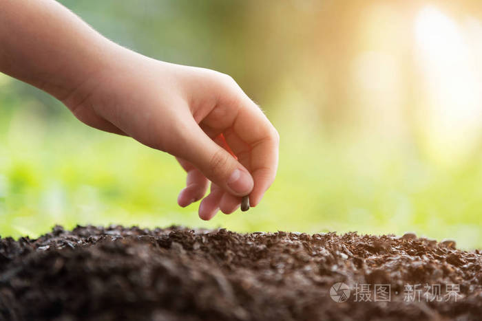 在自然绿色背景下种植植物的儿童在土壤农业中种植种子的概念