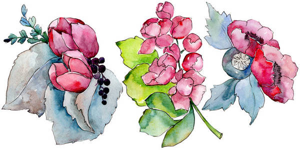 水彩彩色热带花束。 花卉植物花。 孤立的插图元素。 背景纹理包装图案框架或边框的水花野花。