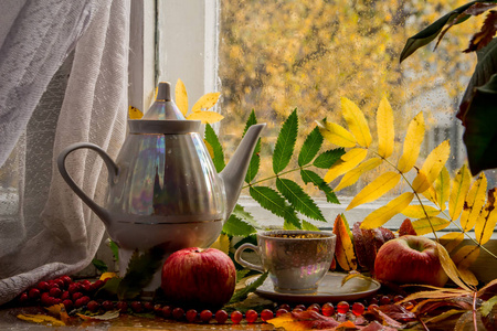罗旺和新鲜苹果湿叶的美丽组成。 茶具新鲜苹果。