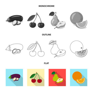 蔬菜水果图标的矢量设计。网站蔬菜和素食股票符号的收集