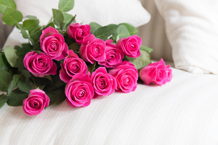 一堆完美的粉红色玫瑰放在白色沙发沙发的内部