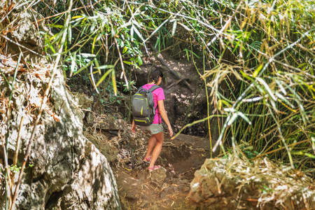 带着徒步旅行袋在热带雨林徒步旅行的年轻女子