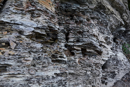 沉积岩页岩图片