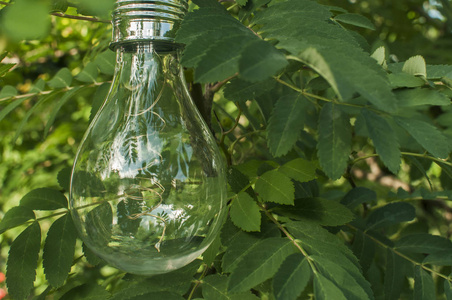 太阳能灯花园悬挂在绿屋花园树枝上的太阳能灯泡照片