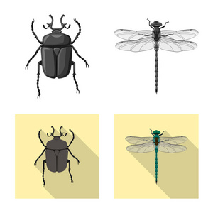 昆虫和苍蝇图标的矢量例证。收集昆虫和元素矢量图标的股票